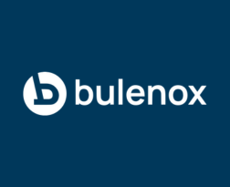 bluenox logo